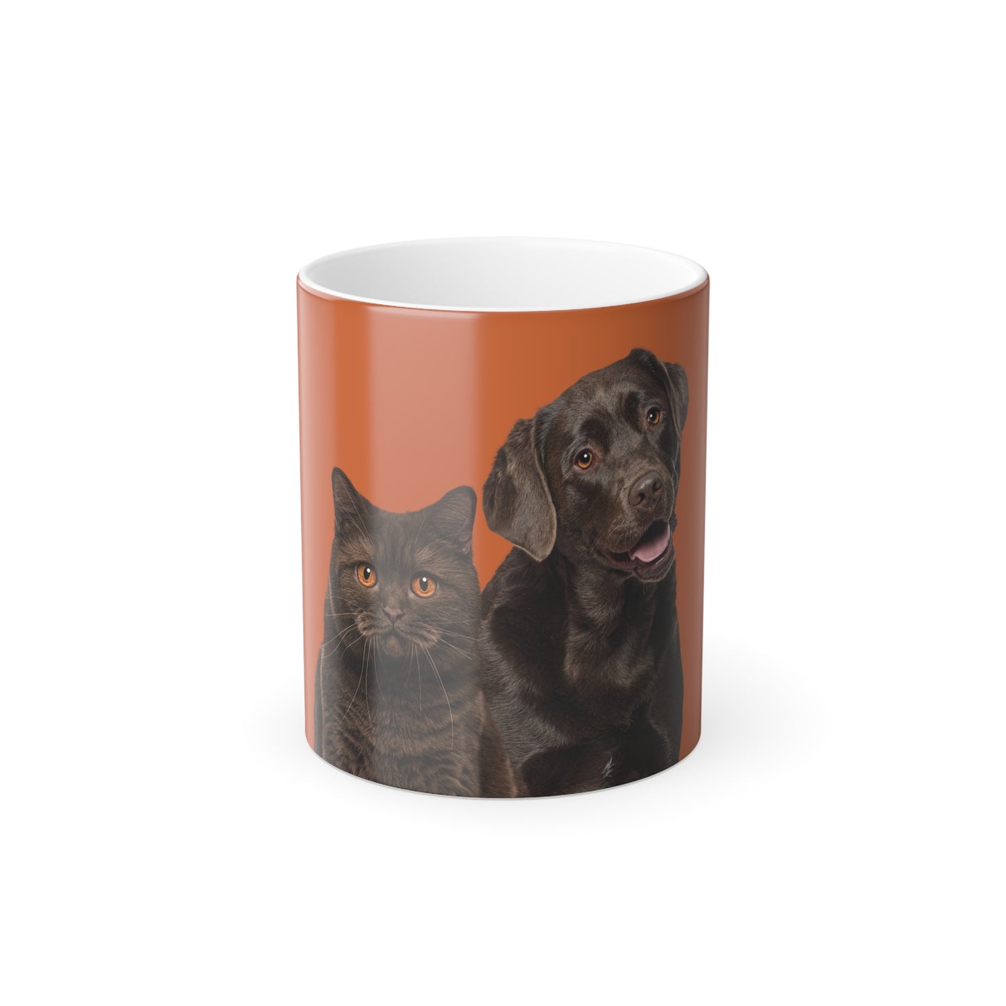 Cat & dog Color Morphing Mug, 11oz