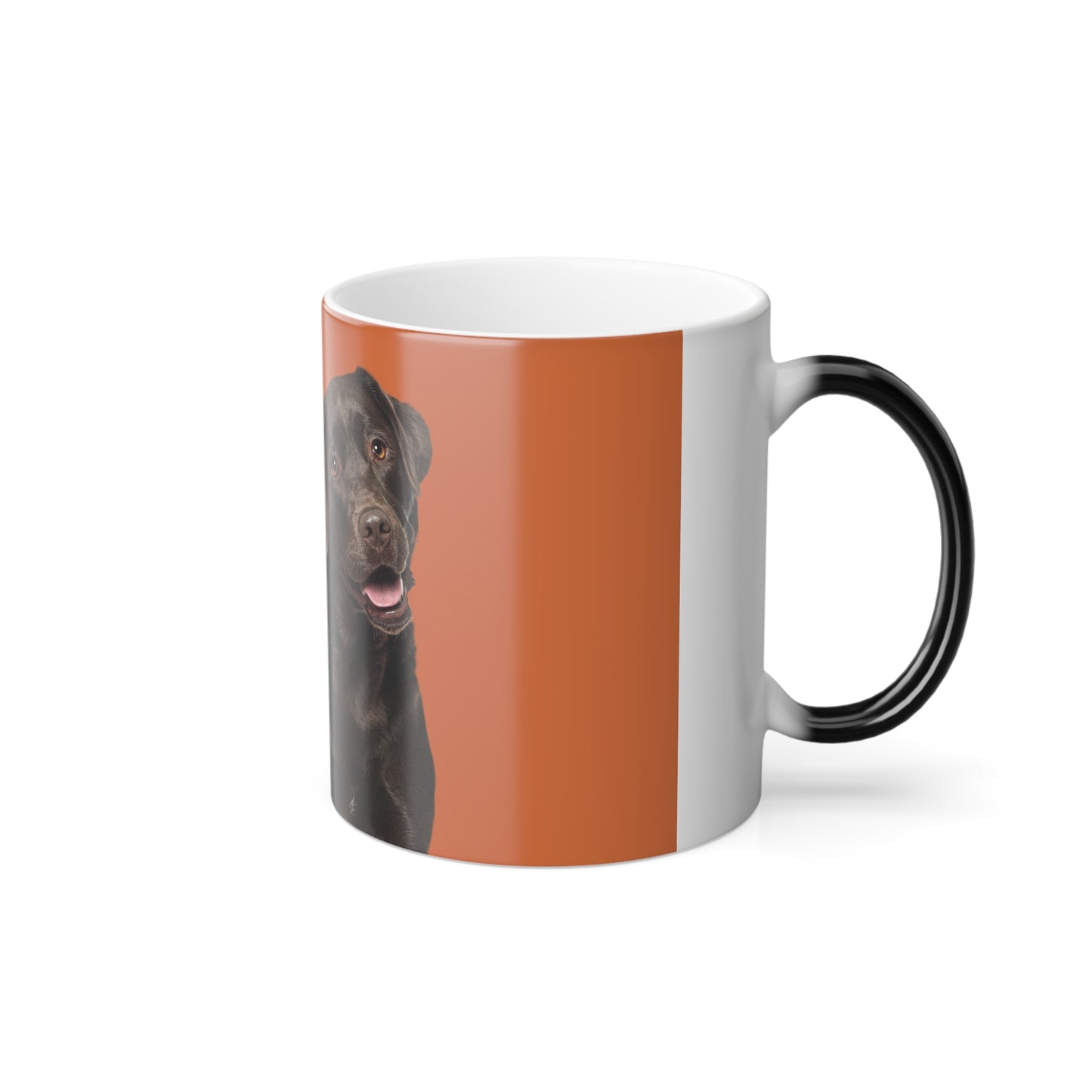 Cat & dog Color Morphing Mug, 11oz